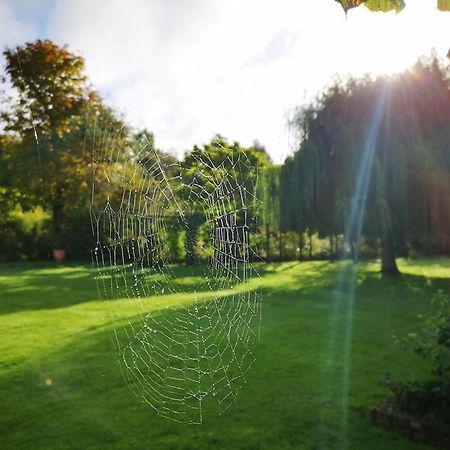 Gite Du Chateau D'Hardelot A Condette エクステリア 写真