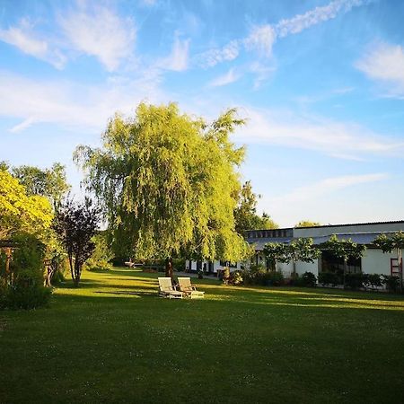 Gite Du Chateau D'Hardelot A Condette エクステリア 写真